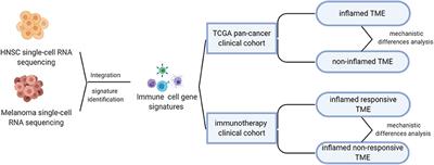 Analysis of Gene Signatures of Tumor Microenvironment Yields Insight Into Mechanisms of Resistance to Immunotherapy